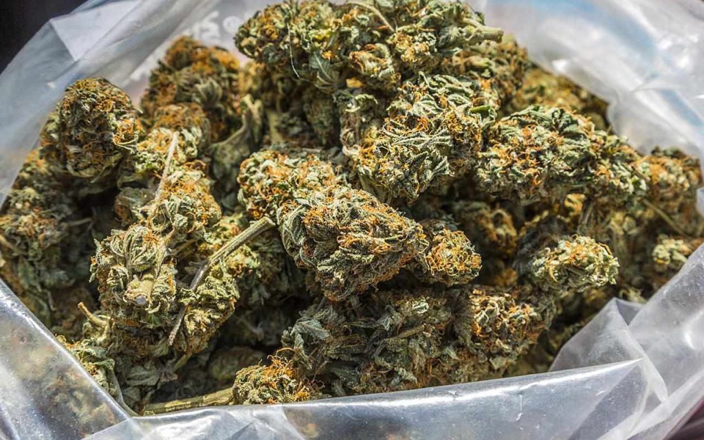Navigating the Best Online Weed Deals in Canada
