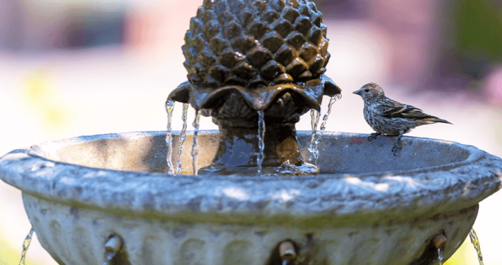The Essential Guide to Winterizing Your Water Fountain