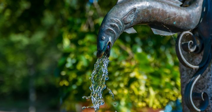 Brunne, water, life — Nuestro esparcimiento formal es un aspecto relevante cual Nine Casino si no le importa hacerse amiga de