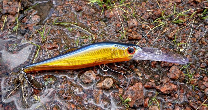 Fishing gear, fishing, wobbler — The Benefits of Upgrading to Theramdor Appliances