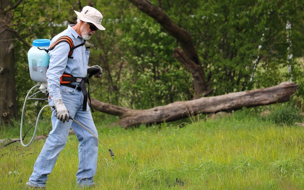 Grass, backpack sprayer, maintenance — Water Heater Replacement That Improves Daily Routines