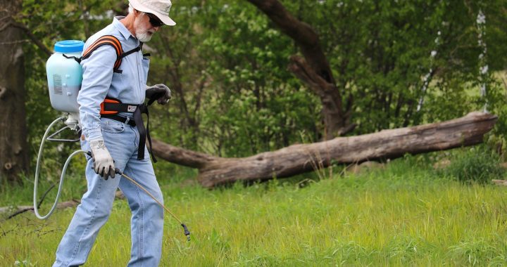 Grass, backpack sprayer, maintenance — Water Heater Replacement That Improves Daily Routines