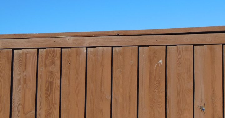 Close-up view of a wooden privacy fence against a blue sky